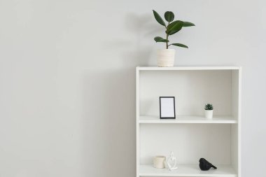 Beyaz duvarın yanında ev bitkileri ve heykelciklerin olduğu raflar.