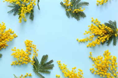 Mavi arka planda güzel sarı mimoza çiçeklerinden yapılmış çerçeve