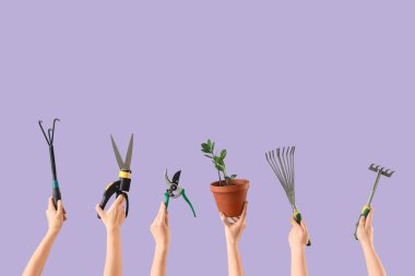 Bahçe aletleri ile kadın elleri ve leylak arka planda bitki