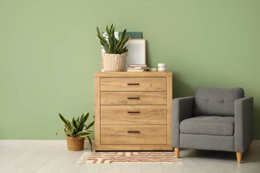 Yeşil duvarın yanında sansevieria bitkileri, koltuk ve çekmeceler bulunan şık bir oda.