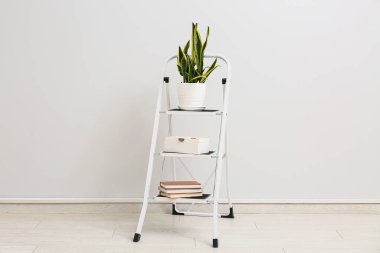 Süslü odada beyaz duvarın yanındaki merdivende ev dekoru.