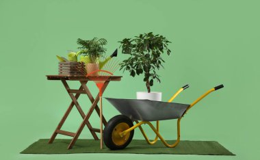 Yeşil arka planda el arabası ve ev bitkileri olan bahçe malzemeleri.
