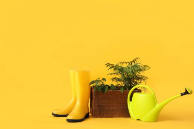 Bahçe aletleri ve sarı arka planda ev bitkileri