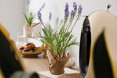 Mutfaktaki tezgahta güzel Muscari çiçekleri, yakın plan.