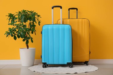 Çiçek ve bavullar sarı duvarın yanında, yakın plan.