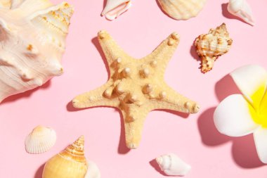 Birçok deniz kabuğu, deniz yıldızı ve çiçek pembe arka planda.