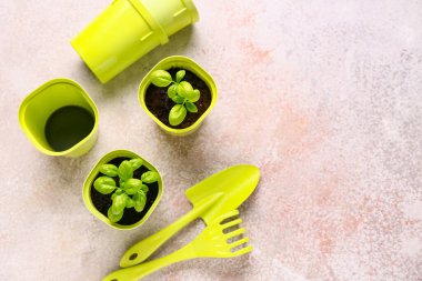 Bej grunge arka planda fideleri ve bahçe aletleri olan saksılar