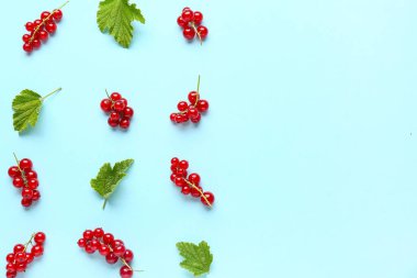 Mavi arka planda yaprakları olan taze kırmızı üzümler