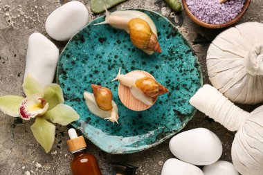 Dev Achatina salyangozları ve grunge arka planında kozmetik ürünleri olan güzel bir spa kompozisyonu.