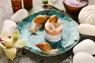 Dev Achatina salyangozları ve grunge arka planında kozmetik ürünleri olan güzel bir spa kompozisyonu.