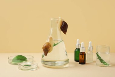 Bej arka planda Achatina salyangozları ve kozmetik ürünleri olan laboratuvar örnekleri.