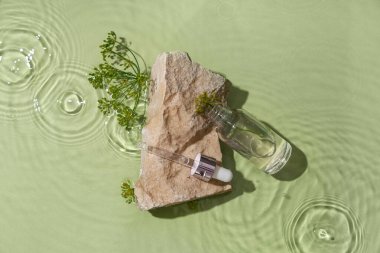 Yeşil zemin üzerinde su içinde taş ve dereotlu kozmetik ürünü içeren kompozisyon, yakın plan.