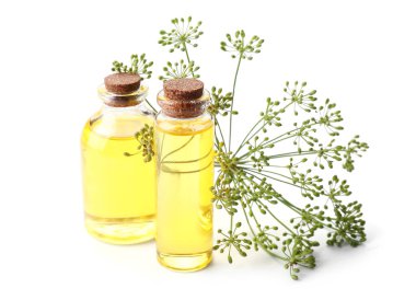 Beyaz arka planda dereotu yağı şişeleri