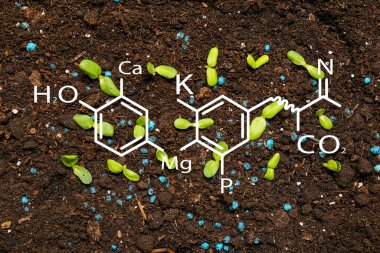 Granüler gübre ve fidanlı toprak, üst manzara.