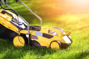 Yeşil çimlerin üzerinde modern çim biçme makinesi.