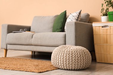 Rahat kanepe ve halısı olan oturma odasının içinde.