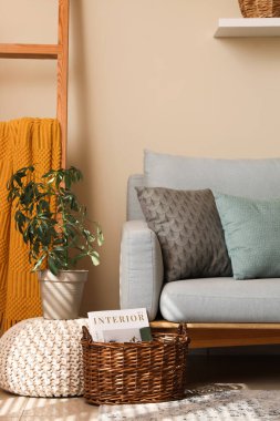 Kanepesi, yastıkları, çiçekleri ve dergileri olan şık bir oturma odası.