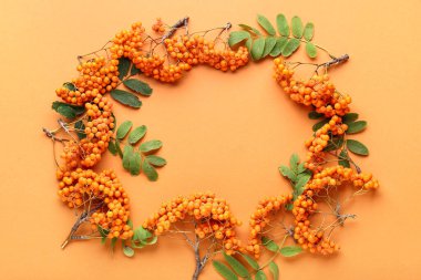 Çerçeve olgun kızılcık böğürtlenleri ve turuncu arka planda yapraklardan yapılmış, yakın plan.