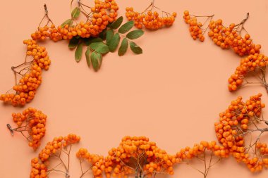 Olgunlaşmış kızılcık üzümlerinden yapılmış çerçeve ve açık turuncu arka planda yapraklar, yakın plan.