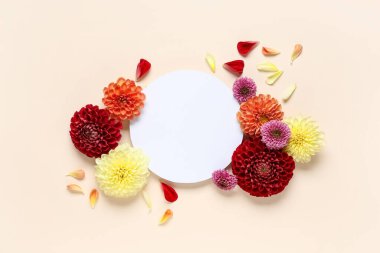 Boş kartlı kompozisyon, bej arka planda yıldız çiçekleri ve taç yaprakları