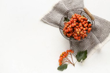 Sepetli kompozisyon ve beyaz grunge arka planda olgun rowan üzümü dalları.