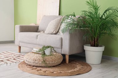 Ev bitkileriyle süslü hasır puf ve oturma odasındaki yeşil duvarın yanındaki rahat kanepe.