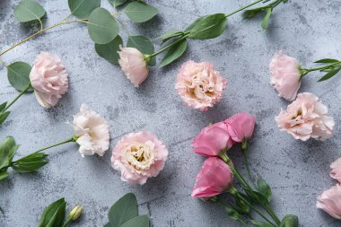 Composition with beautiful eustoma flowers on grey grunge background