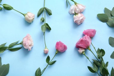 Mavi arka planda güzel Eustoma çiçekleri olan kompozisyon