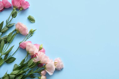 Mavi arka planda güzel Eustoma çiçekleri olan kompozisyon