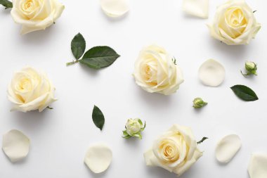 Gri arka planda güzel beyaz gül çiçekleri ve taç yaprakları