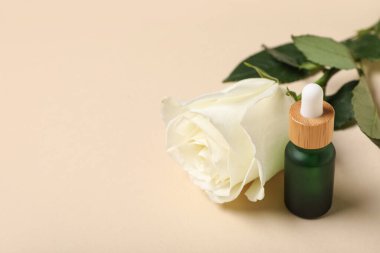 Beautiful white rose flower and bottle of cosmetic oil on beige background, closeup