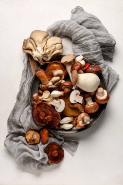 Beyaz arka planda farklı taze mantarlı tabak.