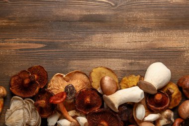 Ahşap arka planda farklı taze mantarlar.