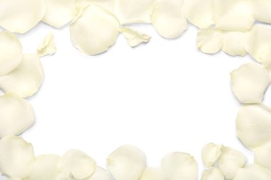 Beyaz arka planda izole edilmiş güzel gül yapraklarından yapılmış çerçeve, yakın plan