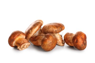 Beyaz arka planda izole edilmiş taze mantar yığını. Yakın plan.