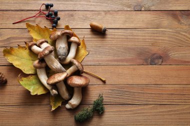 Taze mantarlar, yeşil yosun ve ahşap arka planda sonbahar yaprakları.