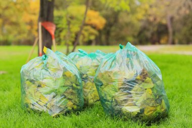 Parkta sonbahar yapraklı çöp torbaları