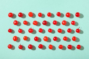 Nane arkaplanında taze viburnum çilekleri olan kompozisyon, yakın plan.