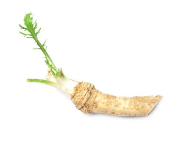 Horseradish kök beyaz arka plan üzerinde