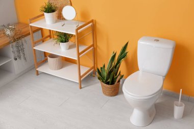 Ev bitkileri ve turuncu duvarın yanında seramik klozeti olan şık bir banyo.