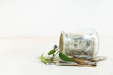 Bozuk paralarla çevrilmiş kavanoz, dolar banknotları ve beyaz arka planda bitki, yakın plan.