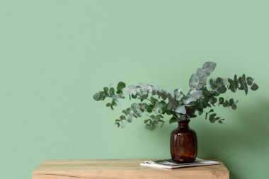 Okaliptüs dallarıyla dolu dergiler ve vazolar. Odadaki yeşil duvarın yanındaki çekmecelerin yanında.