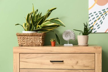 Yeşil duvarın yanındaki çekmecelerde dekoru olan sulular.