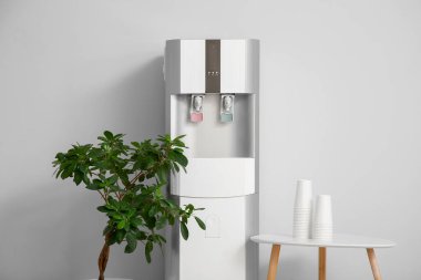 Modern su soğutucusu, ev bitkisi ve masa beyaz duvarın yanında kağıt bardaklar, yakın plan.