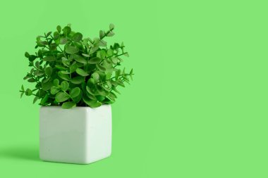 Yeşil arkaplanda yapay bitki