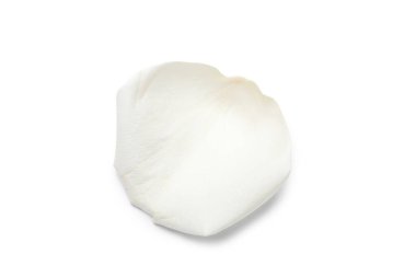 Beyaz arka planda izole edilmiş güzel gül yaprağı, yakın plan