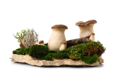 Yeşil yosun ve taze mantarlı taş beyaz arka planda izole edilmiş, yakın plan.