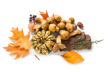 Taze mantarlar, balkabağı ve sonbahar yaprakları beyaz arka planda izole, yakın plan