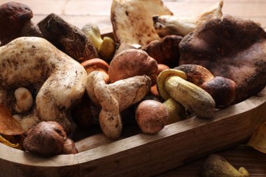 Ahşap arka planda taze mantarlı tepsi, yakın plan.