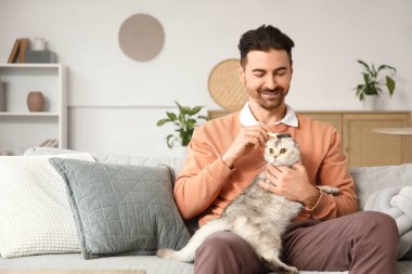 Genç adam evdeki kanepede şirin İskoç kedilerini fırçalıyor.